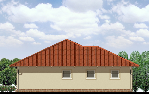 Array - perspektiva PL